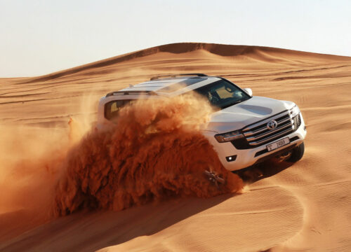 DUNE BASHING